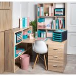 Skandi Filing Box 100Mm Ast Pk4