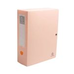 Skandi Filing Box 100Mm Ast Pk4