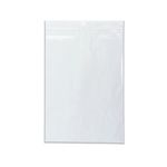 Minigrip Bag 229X324Mm Clear Pk1000