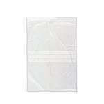 Writeon Grip Seal Bag 254X356 Pk1000