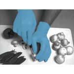 Shield Nitrile Disb Gloves Lg Pk100