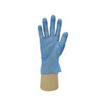 Gd11 Vinyl Disb Glove Blue S Pk100