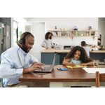 Jabra Evolve2 50 Usba Uc Stereo