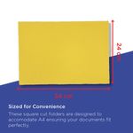 Guildhall Sq Cut Fldr Fc Ylw Pk100