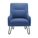 Jemini Daveen Rcpn Armchair Navy