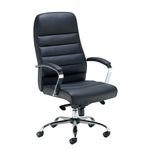 Jemini Ares Hbck Executive Chair