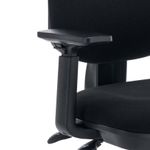 Polaris Nesta Pair Of Adj Arms Black