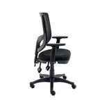 Astin Nesta Optr Chr Adj Arms