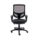 Astin Nesta Optr Chr Fixed Arms