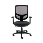 Astin Nesta Optr Chr Adj Arms