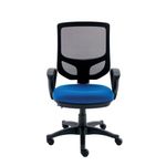 Astin Nesta Optr Chr Fixed Arms