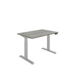 Dm Sit/Stand Desk 1200X800 Goak/Slv