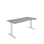 Dm Sit/Stand Desk 1800X800 Goak/Wht