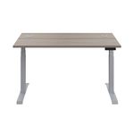 Jemini Sit/Stand Dsk 1200X800 G/Oak