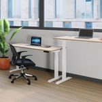 Jemini Sit/Stand Dsk 1200X800 Bch