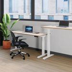 Jemini Sit/Stand Desk With Cable Wht