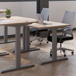 Jemini Sit/Stand Dsk 1400X800 G/Oak