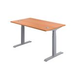 Jemini Sit/Stand Desk With Cable Bch