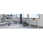 Jemini Sit/Stand Dsk 1600X800 Wal