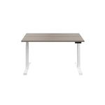 Jemini Sit/Stand Dsk 1600X800 G/Oak