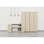 Jemini Wdn Cupboard 1200 Beech