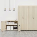 Jemini Wdn Cbd 800X450X1600 Beech