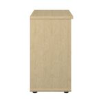 Jemini Bookcase 800X450X800Mm Maple