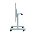 Jemini Trap Tilt Table 800 Bch/Slv