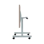 Jemini Trap Tilt Table 800 Grey Oak