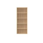Astin Bkca 4Shv 800X400X1980 Canoak