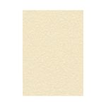 Decadry Paper 95G Parchmt Cham Pk100
