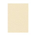 Decadry Paper 95G Parchmt Cham Pk100