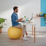 Leitz Ergo Cosy Sitting Ball Ylw