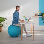 Leitz Ergo Cosy Sitting Ball Blu