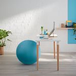Leitz Ergo Cosy Sitting Ball Blu