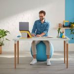 Leitz Ergo Cosy Sitting Ball Gry