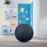 Leitz Ergo Cosy Sitting Ball Gry