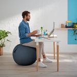Leitz Ergo Cosy Sitting Ball Gry