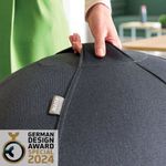 Leitz Ergo Cosy Sitting Ball Gry