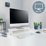 Leitz Ergo Monitor Stand White