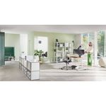 Leitz Ergo Dual Monitor Arm Dgrey