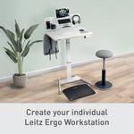 Leitz Ergo Pegbrd Desk Org W/Holder