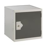 One Comp Cube Locker 300X300 D/Grey