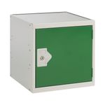 One Comp Cube Locker 450X450 Green