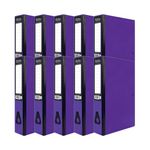 Pukka Brights Box File Fc Ppl Pk10