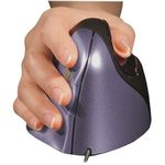 Bakkerelkhuizen 4 Rh Vertical Mouse
