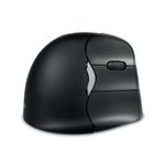 Bakkerelkhuizen 4 Bt Rh Vert Mouse