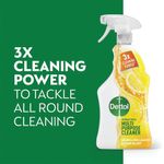 Dettol Disinfectant Clnr 1L Trigger