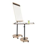 Natural Design Mfnl Mobile Flipchart
