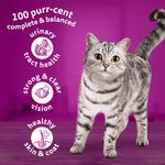 1+ Cat Complete Dry Chicken 800G Pk5